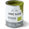 210457-1L-CPTin_Firle.-1024x1024-1 Tilton Chalk Paint™ by Annie Sloan- 120ml Sample Pot